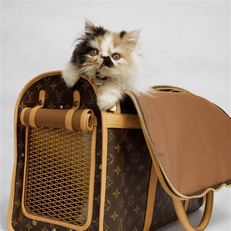lv cat carrier